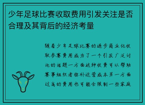 少年足球比赛收取费用引发关注是否合理及其背后的经济考量