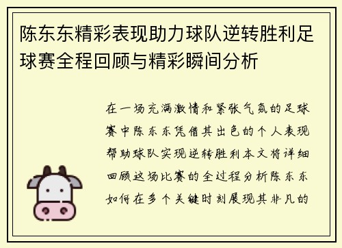陈东东精彩表现助力球队逆转胜利足球赛全程回顾与精彩瞬间分析