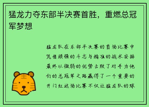 猛龙力夺东部半决赛首胜，重燃总冠军梦想