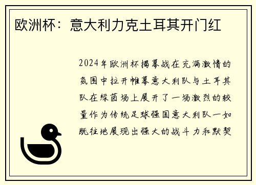 欧洲杯：意大利力克土耳其开门红