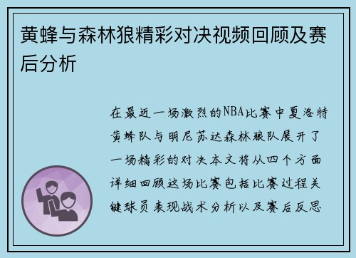 黄蜂与森林狼精彩对决视频回顾及赛后分析
