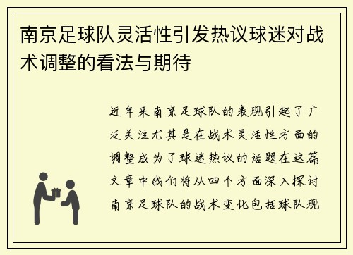 南京足球队灵活性引发热议球迷对战术调整的看法与期待